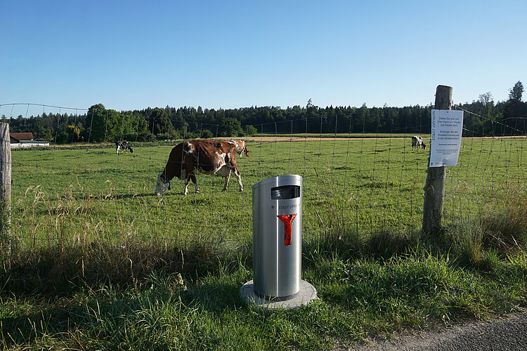 Ein Abfalleimer vom Typ «Hai» mit Spender für Hundekot-Säcklein. Dahinter eine Kuh auf der Weide. 