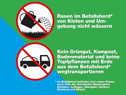 Japankäfer Plakat